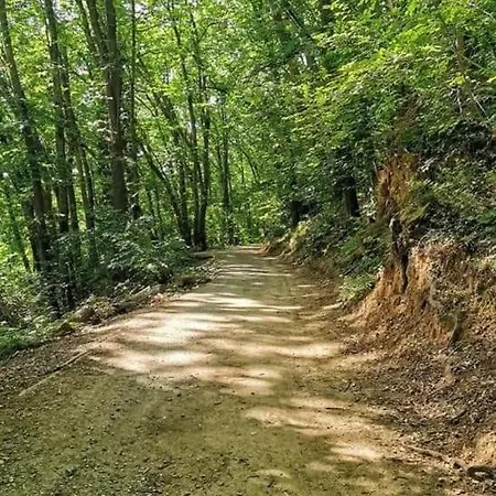 Rosablu Tra Mare E Parco Di Portofino Appartamento Camogli