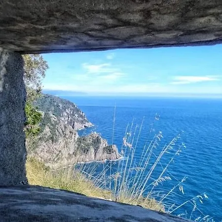 Rosablu Tra Mare E Parco Di Portofino * Camogli