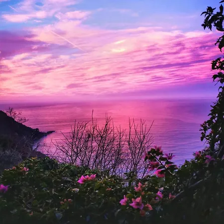 Lejlighed Rosablu Tra Mare E Parco Di Portofino *