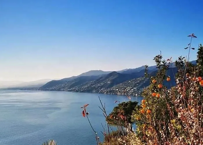 Rosablu Tra Mare E Parco Di Portofino *