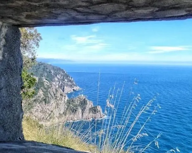 Rosablu Tra Mare E Parco Di Portofino * كامولّي