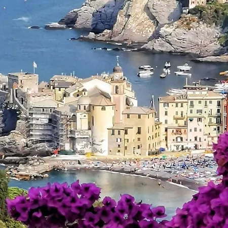 Rosablu Tra Mare E Parco Di Portofino Lejlighed